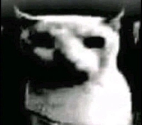 bán đàn