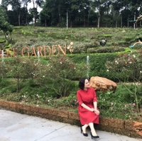 Kim khí Điện máy Đại Dương