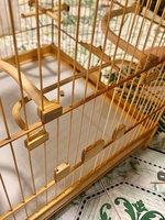 Tuan Anh Bui