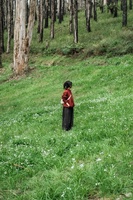Đan
