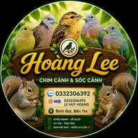 sỏi