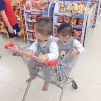 Nam Phong