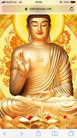 minh đạt