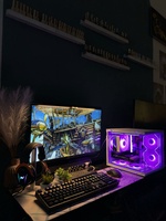 Mèo và Máy Tính HANAVY