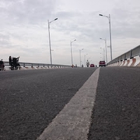 Họ nhà Việt