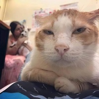 Nguyễn văn chiến