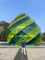 Lu ít thơ nghêu