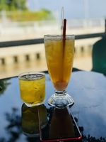 phan minh