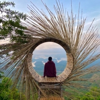 Hồng Vỹ