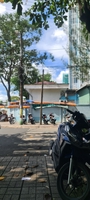 Thai