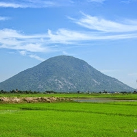quân lê