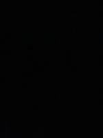 NGUYỄN TRƯỜNG AN