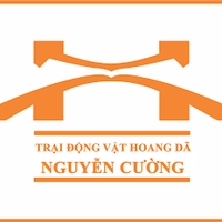 CHỒN HƯƠNG paradoxurus hermaphroditus