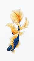 sơn 
