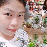Kim Mai