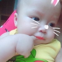 bảo