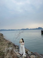 hoàng Linh
