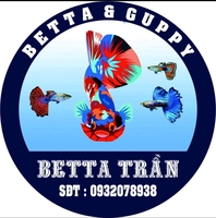 Shop Betta Trần cá cảnh và phụ kiện - 0932270184