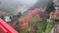 ngày bình yên