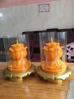 Hoàng Trần Đèn Cầy