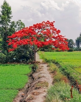 shop phu tung zin hãng có giao lưu 