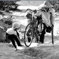 Trượng Vũ