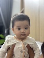 Đình Thi