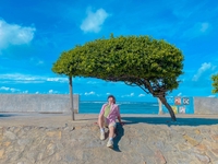 Nguyễn Tiến Đạt