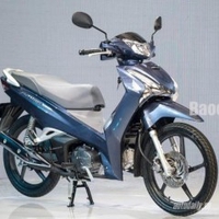 Tình Yêu Vô Vọng