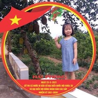 tuan vu
