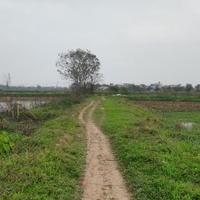 Nguyễn Hải