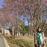 Phan Hue