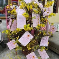 Thuê Nhà Sa Đéc