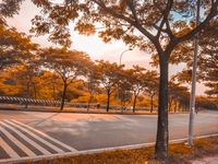 Hằng Nguyễn