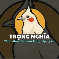 Bình Trọng
