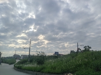 Vương Đức Anh