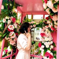 Thảo Thảo