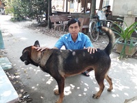 Hiếu