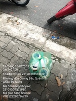 Lê Việt