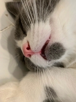 Bách Hoá Sữa Bột