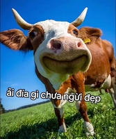 Mr Tuấn