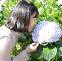 Như Võ