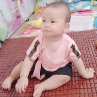 Cây Hướng Dương