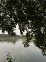 Tố phương Đỗ ngọc