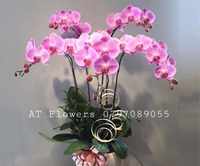 AT Flowers - 0785446730