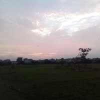 Tiến