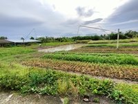 Hà Sanh
