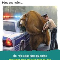 Yến 