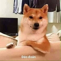 Quân
