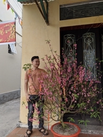 Mr Lực